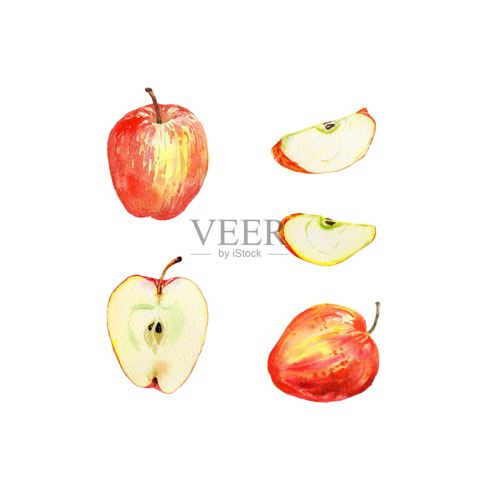 红苹果孤立在白色背景上。水彩插图的一半和切片切和整个红苹果。收获的集合。果集。设计元素图片