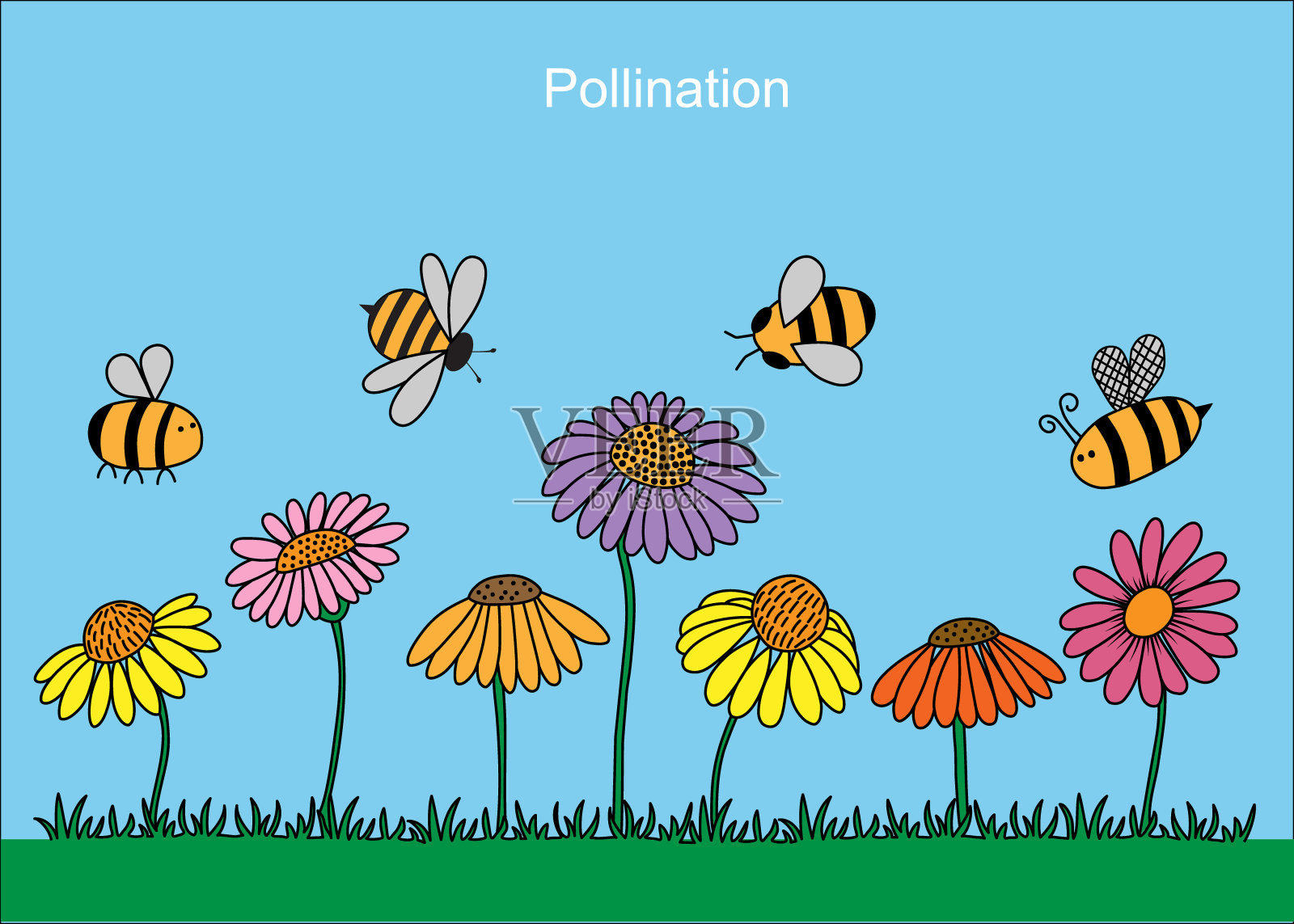 通过蜜蜂授粉插画图片素材