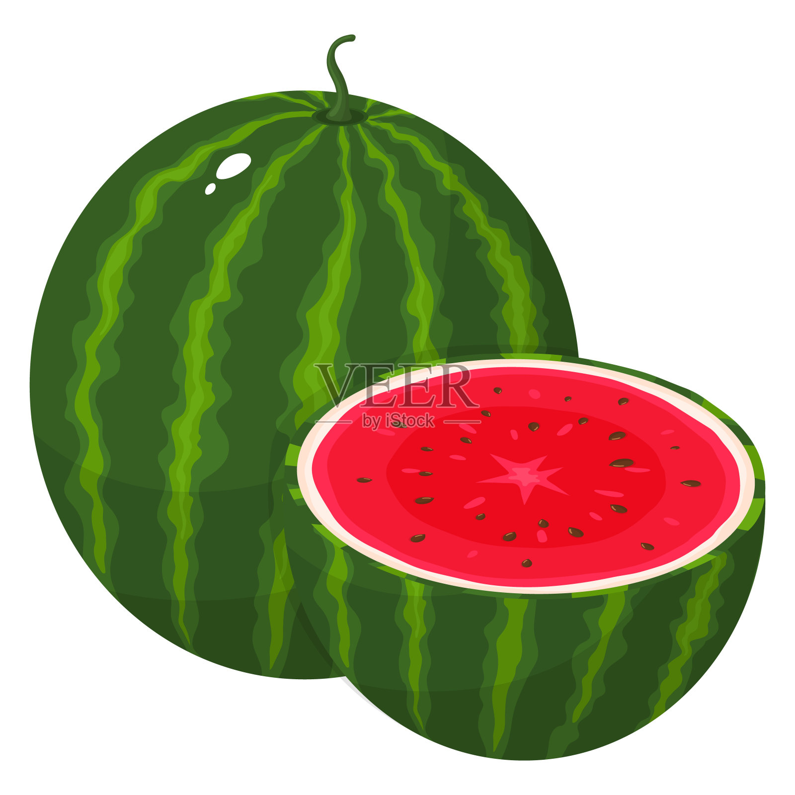 新鲜的完整和半西瓜果实孤立在白色背景上。夏日水果，健康生活方式。有机水果。卡通风格。矢量插图为任何设计。设计元素图片