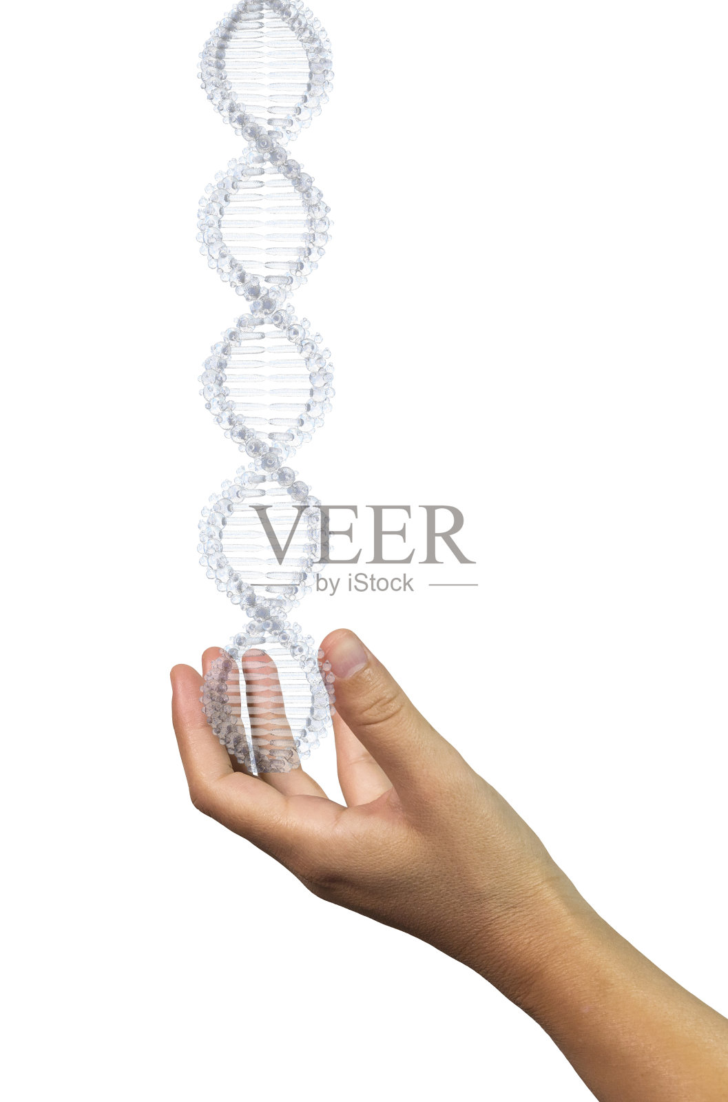 DNA人类手握水DNA链分离科学背景- 3d渲染照片摄影图片
