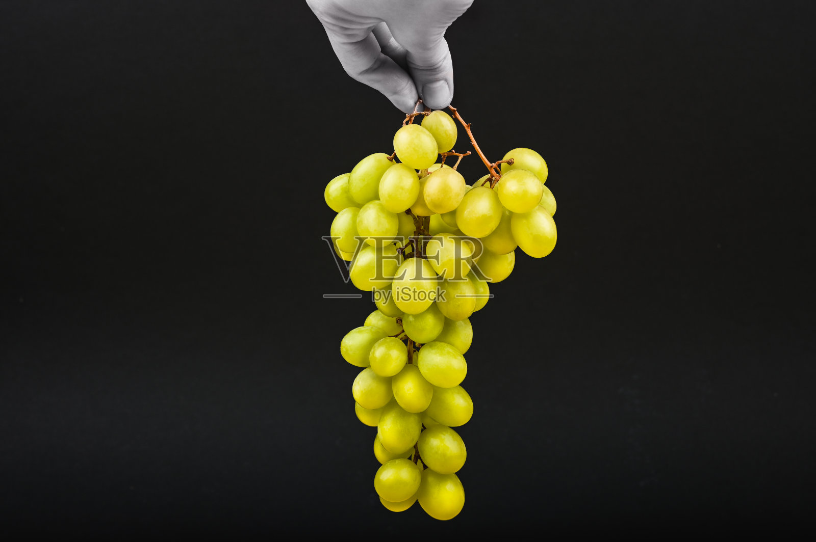 黑色背景上的黄色葡萄。在黑色背景下，一只手在空中举着葡萄。体积酒厂。一串黄色的葡萄藤照片摄影图片
