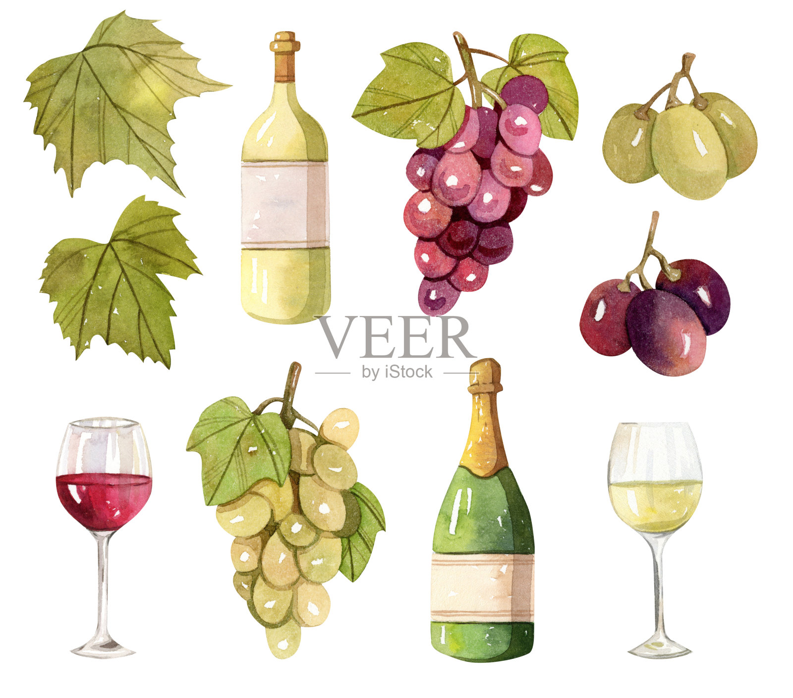 酒瓶，酒杯，葡萄，葡萄叶子插画图片素材