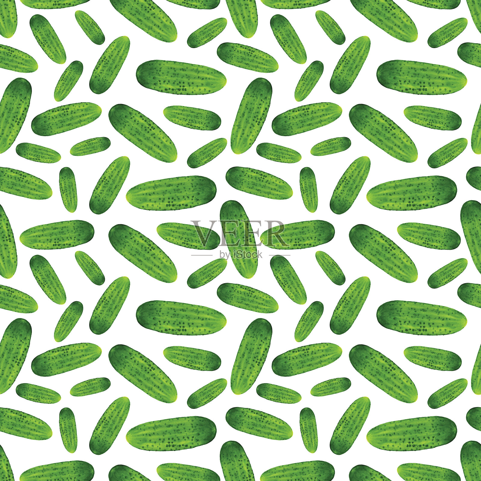 白色背景上的新鲜绿黄瓜插画图片素材