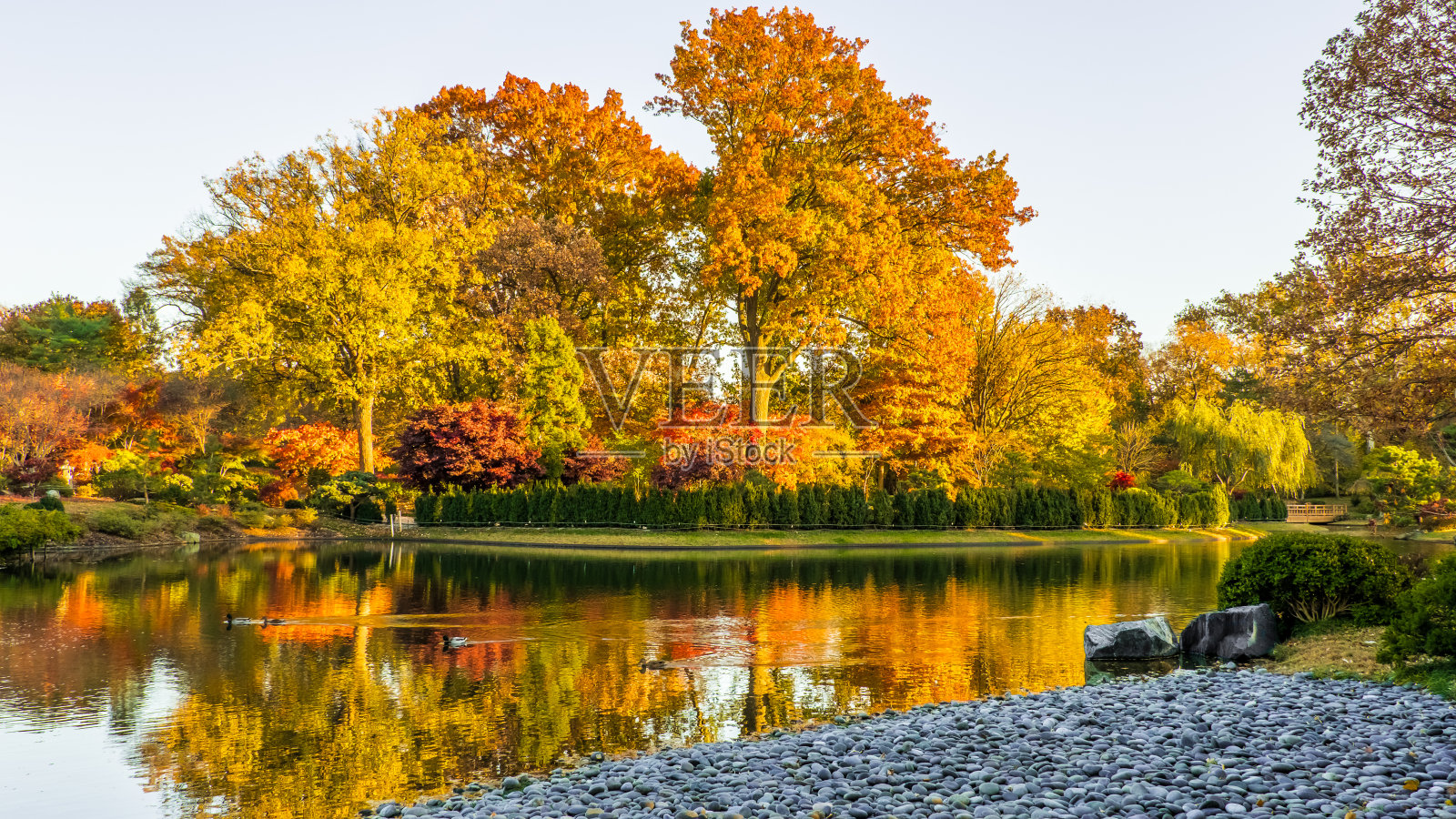 美丽的公园与一个湖在秋天在中西部照片摄影图片