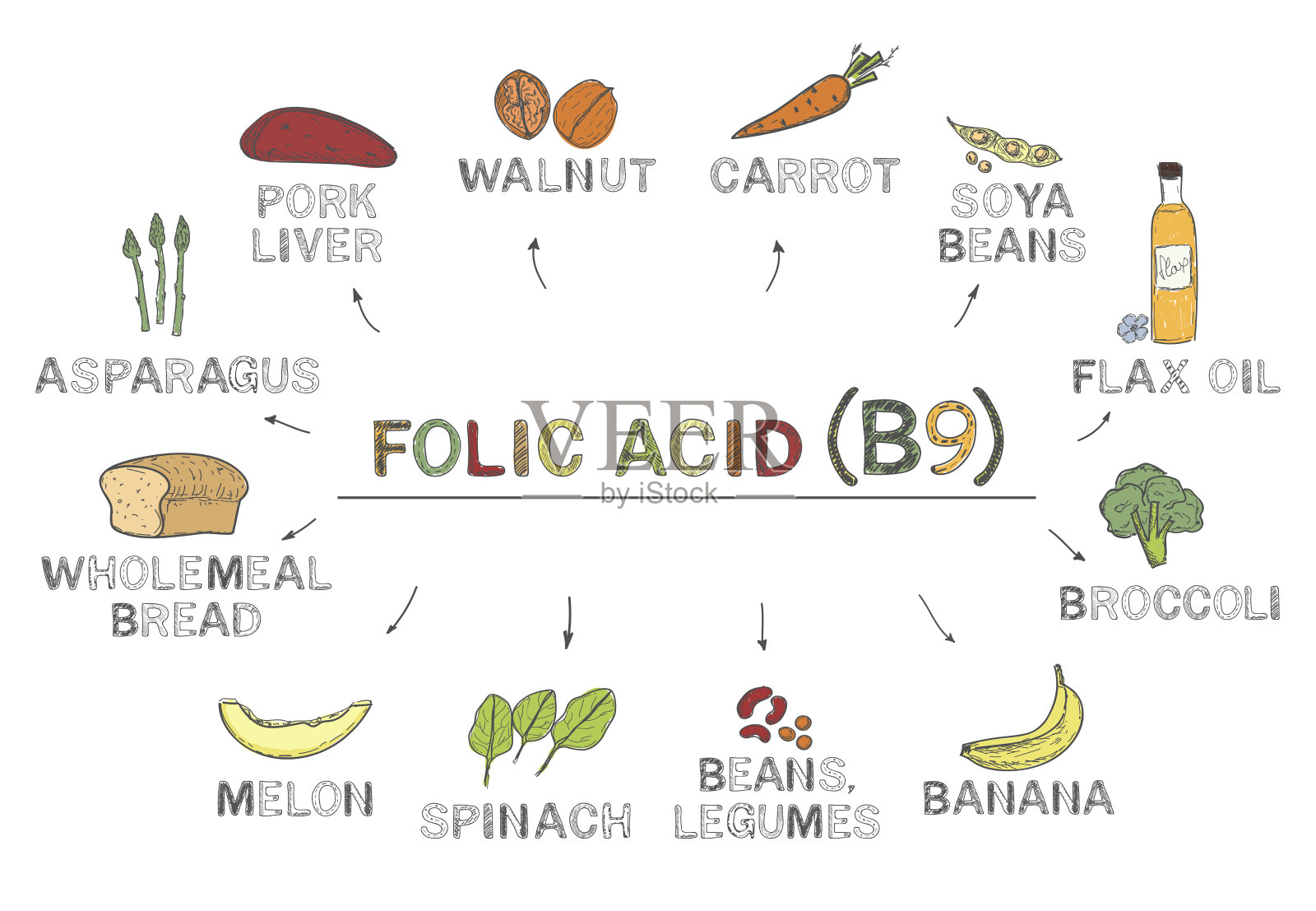 维生素B9(叶酸)，信息图。富含叶酸的食物，天然产物，水果，蔬菜在白色的背景。插画图片素材
