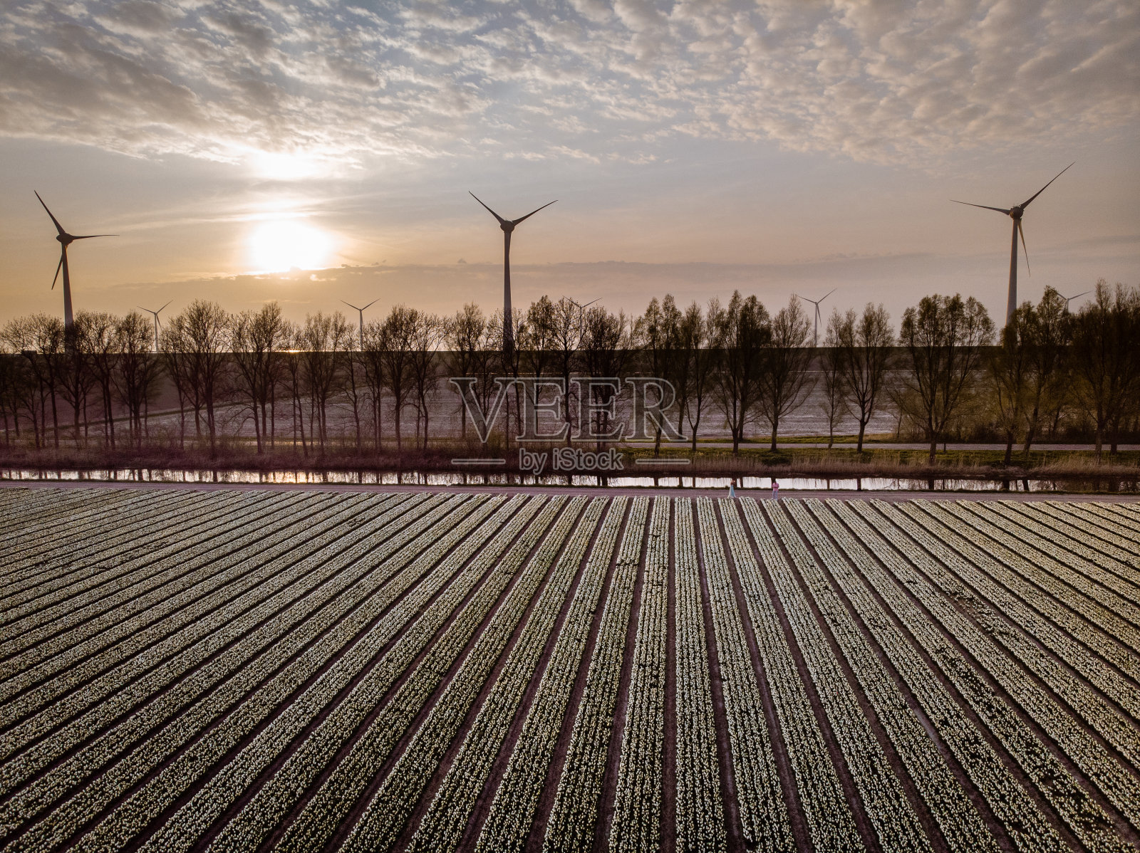 荷兰绿色能源风车园，风力发电机农场照片摄影图片