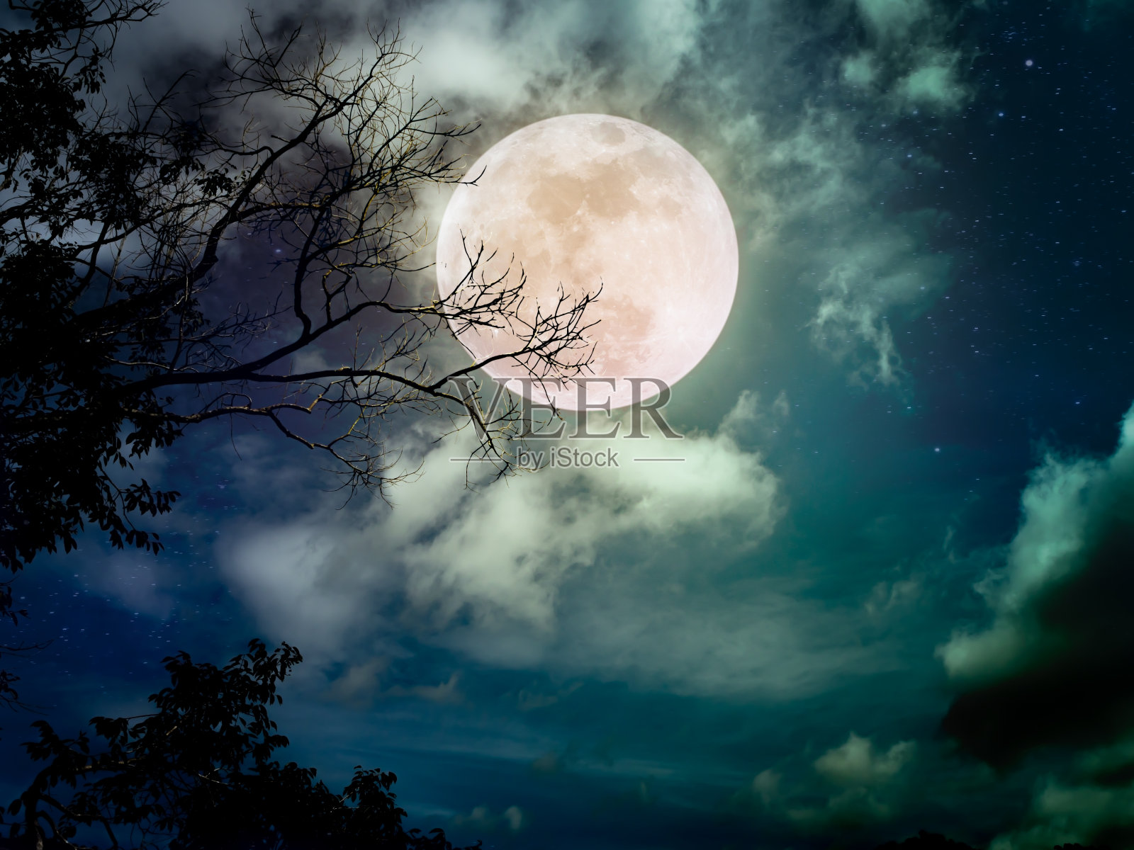 美丽明亮的满月在荒野地区的森林。宁静的自然背景。照片摄影图片
