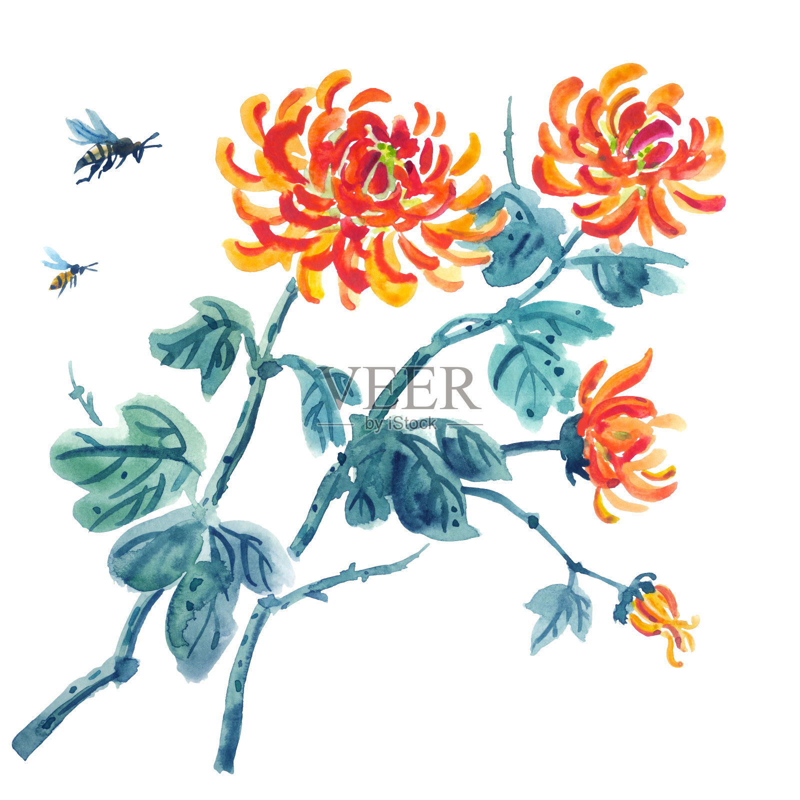菊花和蜜蜂，水彩画插画图片素材