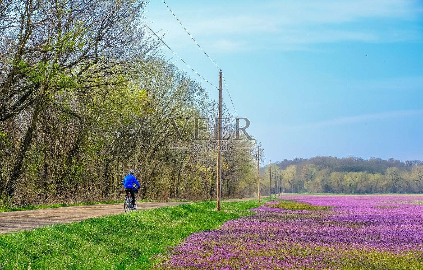 一名骑自行车的男子骑在乡间小路上，旁边是春光明媚的野花照片摄影图片