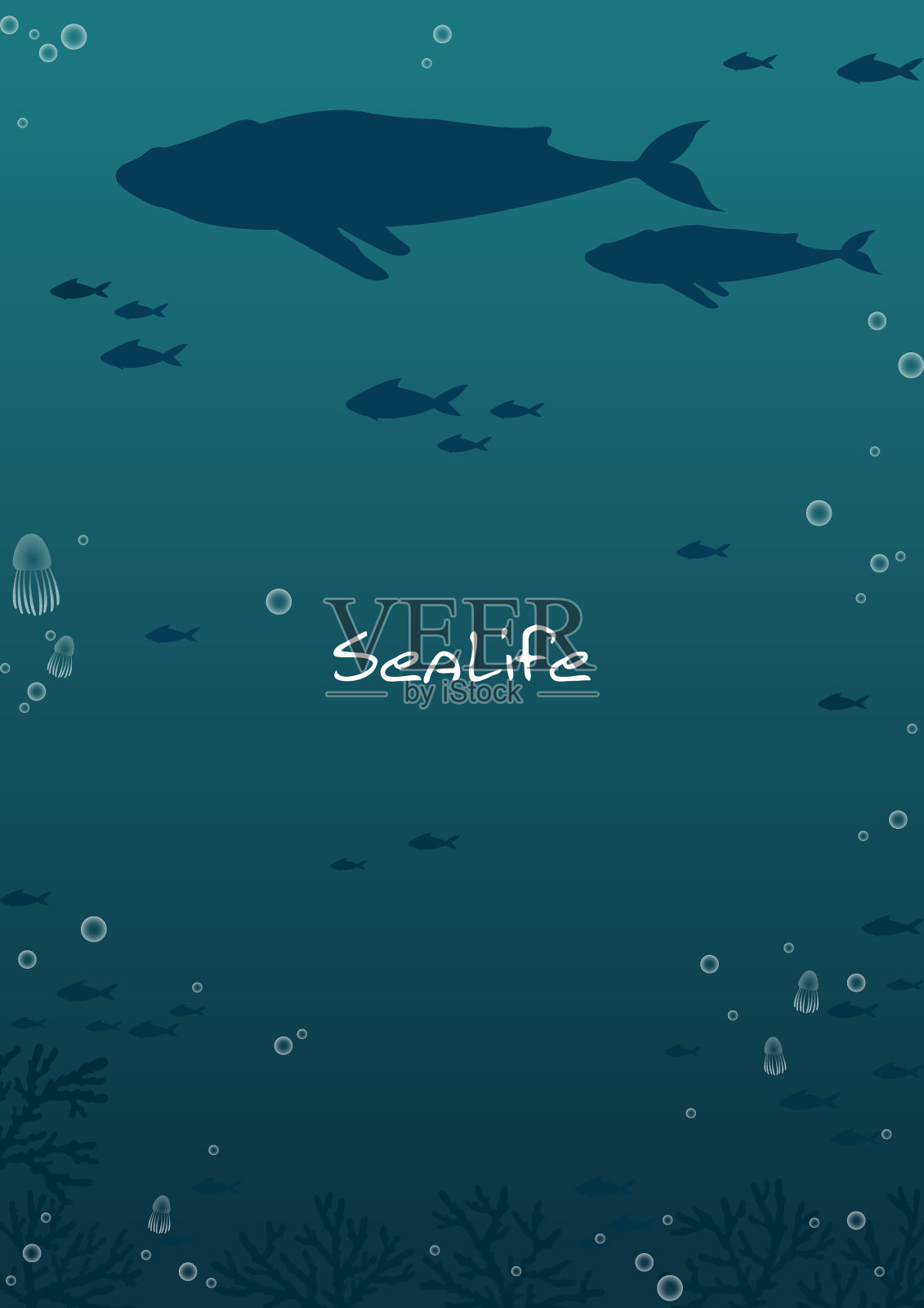 以鲸鱼、鱼群、水母和珊瑚为背景，在夏季节日装饰深海。插画图片素材