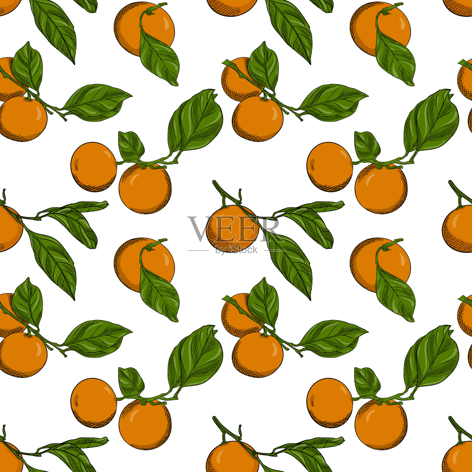 无缝模式与橘子在枝与叶。颜色向量图案与柑橘类水果。元素是在白色背景上手绘的。多汁的夏季图案的包装和纺织品设计元素图片