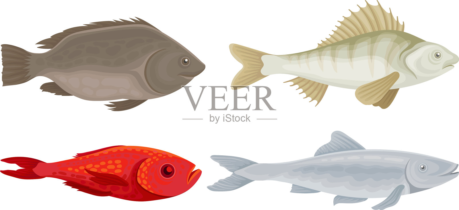 现实鱼市集多种多样插画图片素材