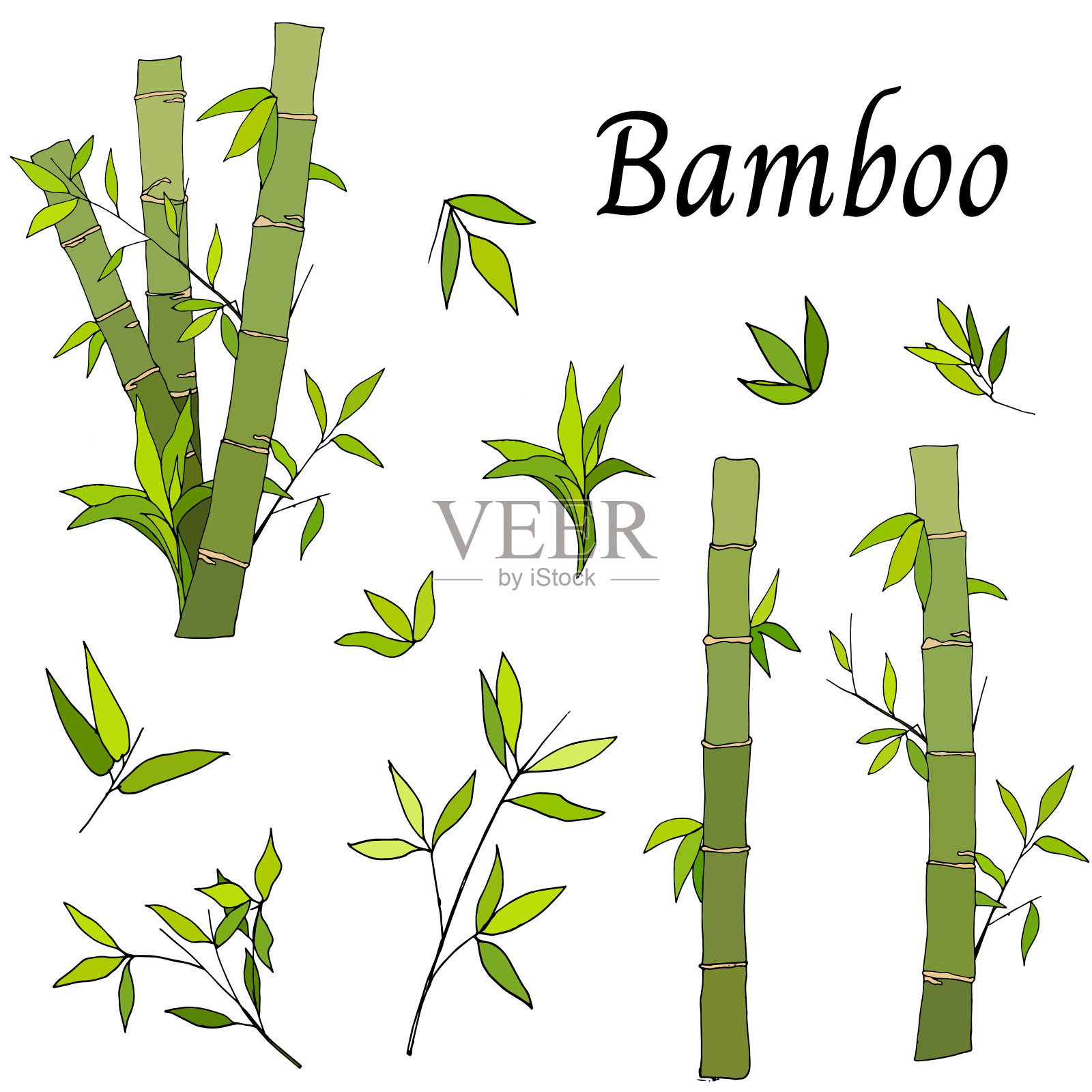 竹制扁平风格。亚洲热带花园，绿色的茎和叶。天然有机食品载体卡通插图。设计元素图片