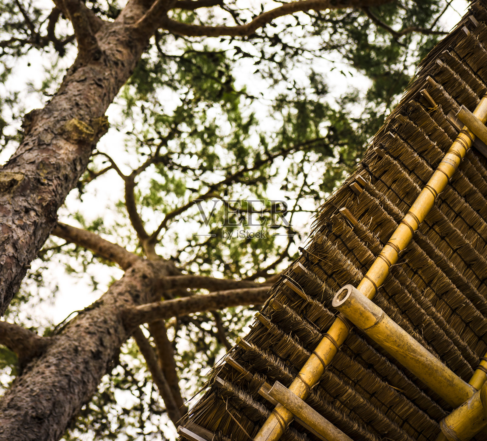 用竹子做成的木结构照片摄影图片