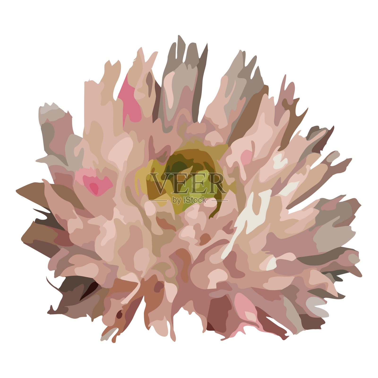 水彩3D现实浪漫的花，牡丹，大丽花，玫瑰孤立的艺术矢量设计元素图片