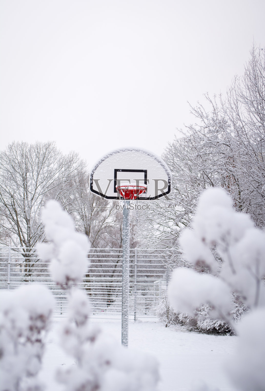 白色的篮球场照片摄影图片