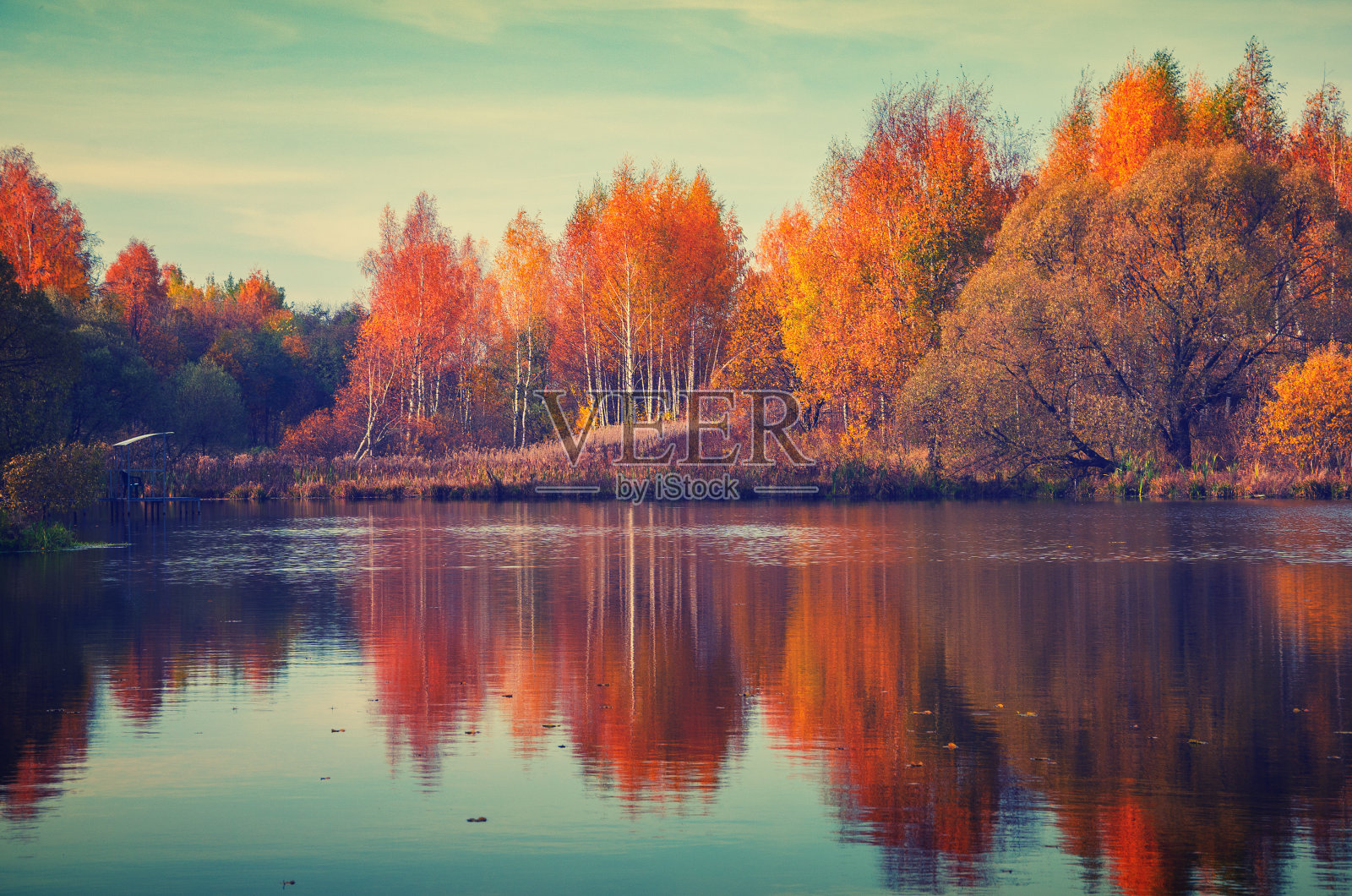 美丽的秋景与桦树反射水面照片摄影图片