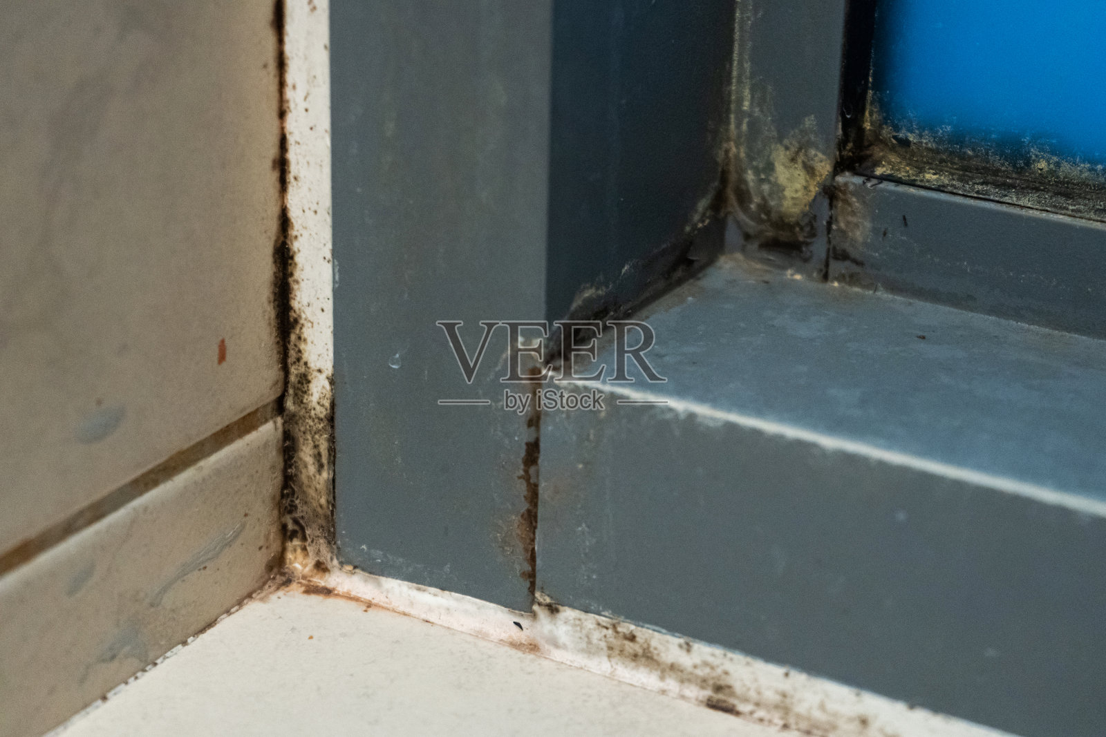 淋浴间里的旧塑料窗框。发霉的角,真菌。问题区域淋浴。照片摄影图片
