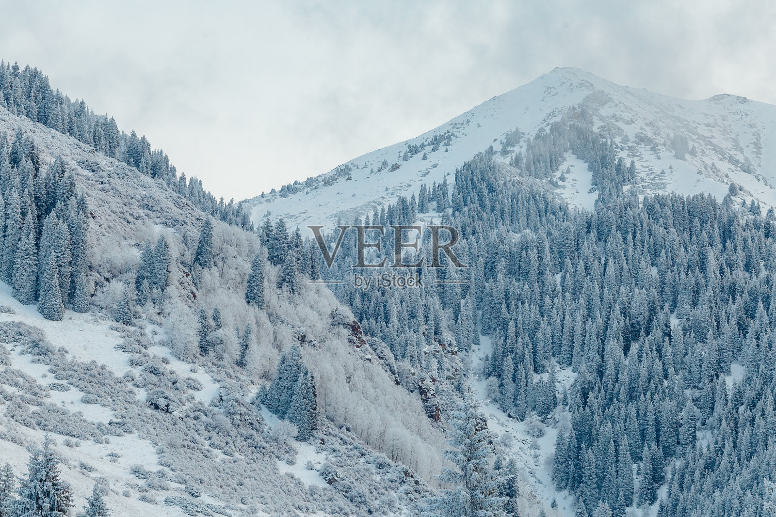 清晨的冬季山景照片摄影图片