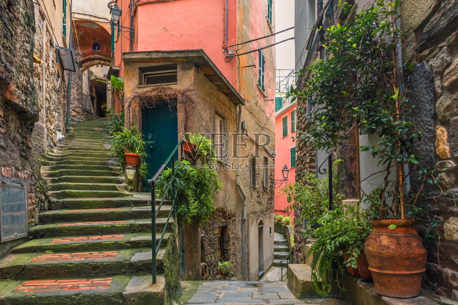 意大利Vernazza小镇古老的意大利街道，中世纪的楼梯和绿色植物盆，没有人在Cinque Terre海岸，意大利照片摄影图片