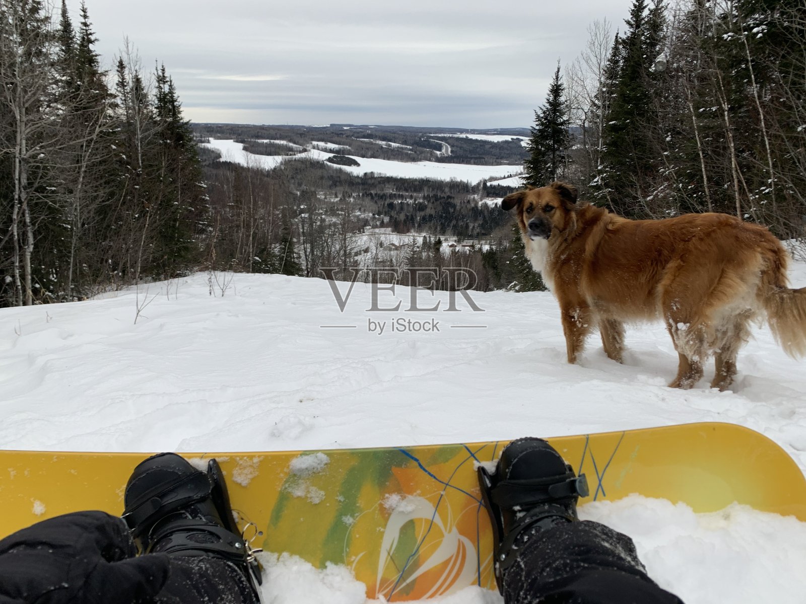 滑雪板在加拿大照片摄影图片