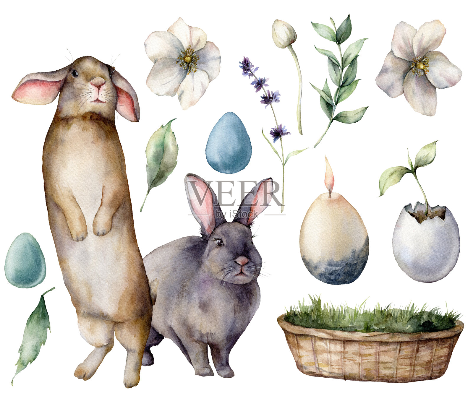 水彩画兔子和复活节符号。手绘彩绘彩蛋、花草、装饰品。假日插图孤立在白色背景。用于设计、印花、织物或背景。插画图片素材