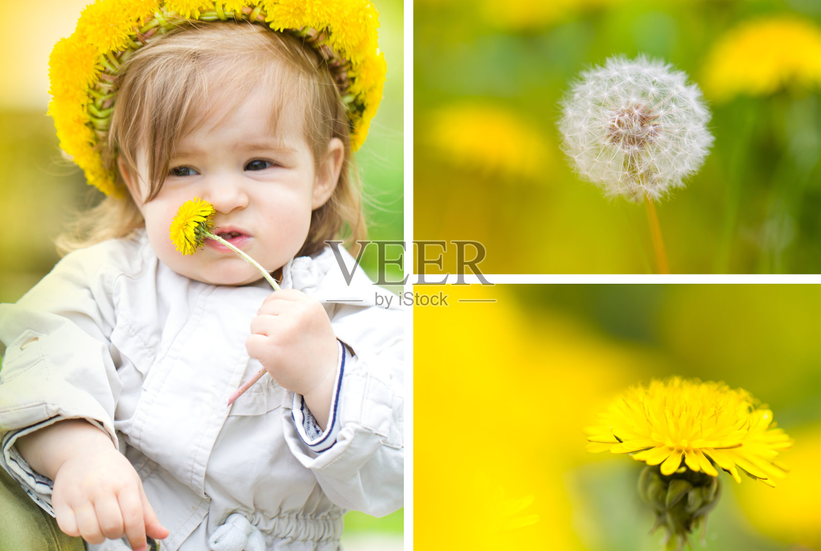 设置孩子宝宝蒲公英妈妈照顾夏天草绿色黄色的背景。在公园散步度假概念快乐情感。照片摄影图片