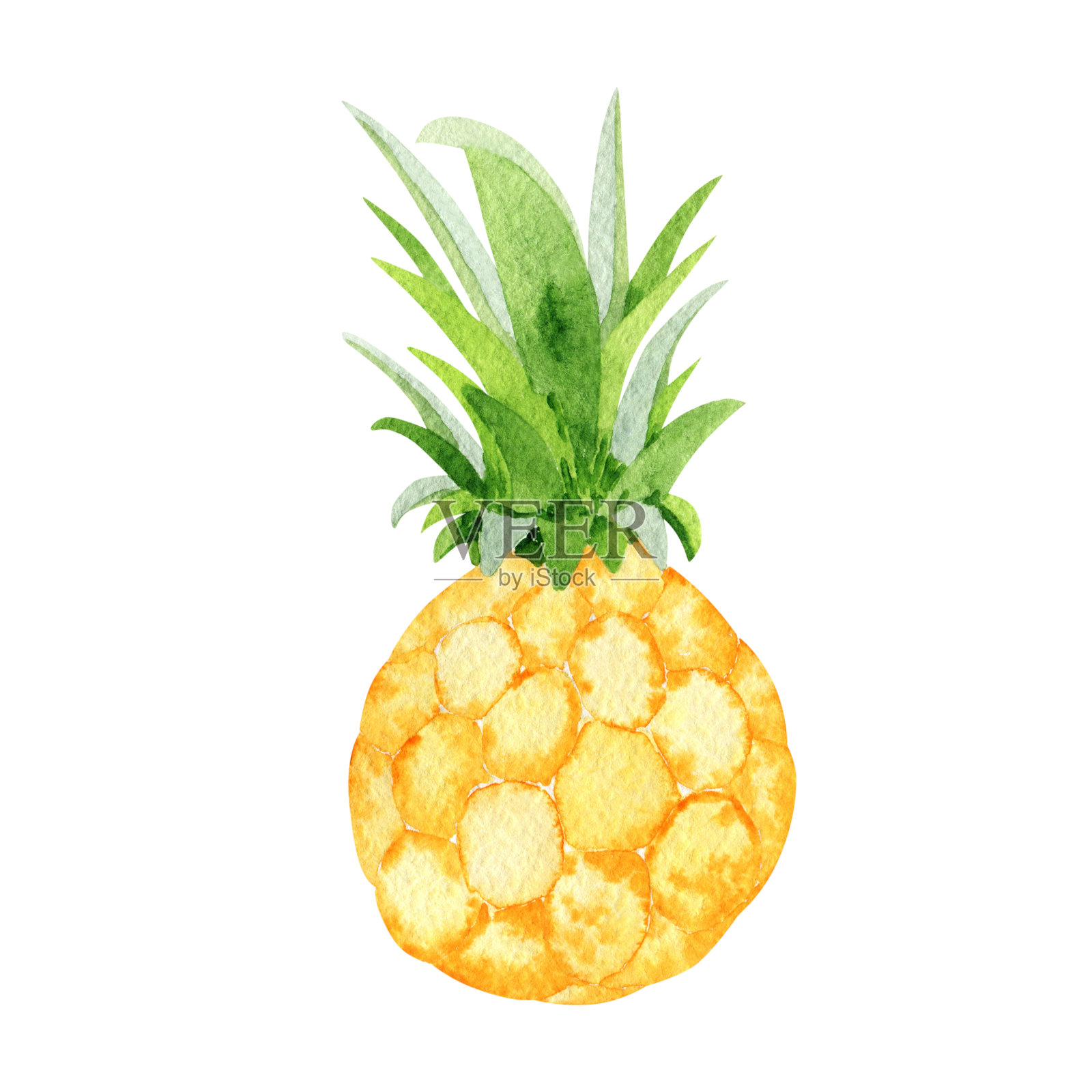 单个多汁的菠萝孤立在白色上。插画图片素材