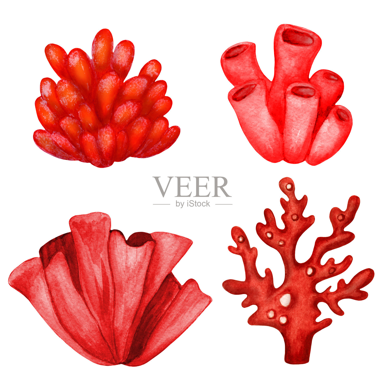 水彩红色珊瑚设计元素图片