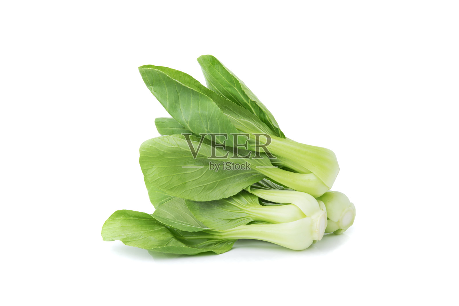 白菜蔬菜上的白色照片摄影图片