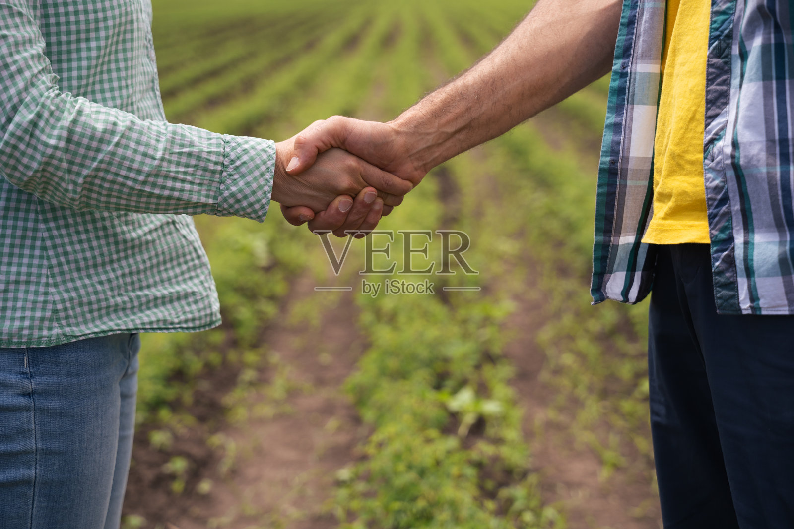 交易开始了。两个农民握手在一个农业领域的背景。达成互惠互利的协议。商务休闲问候握手。照片摄影图片