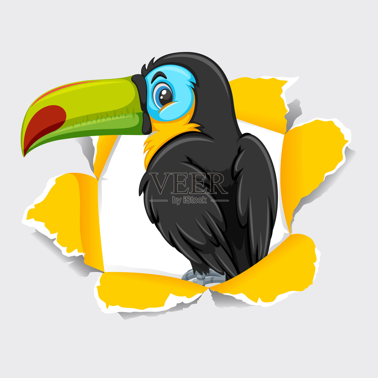 背景模板设计与野生巨嘴鸟插画图片素材