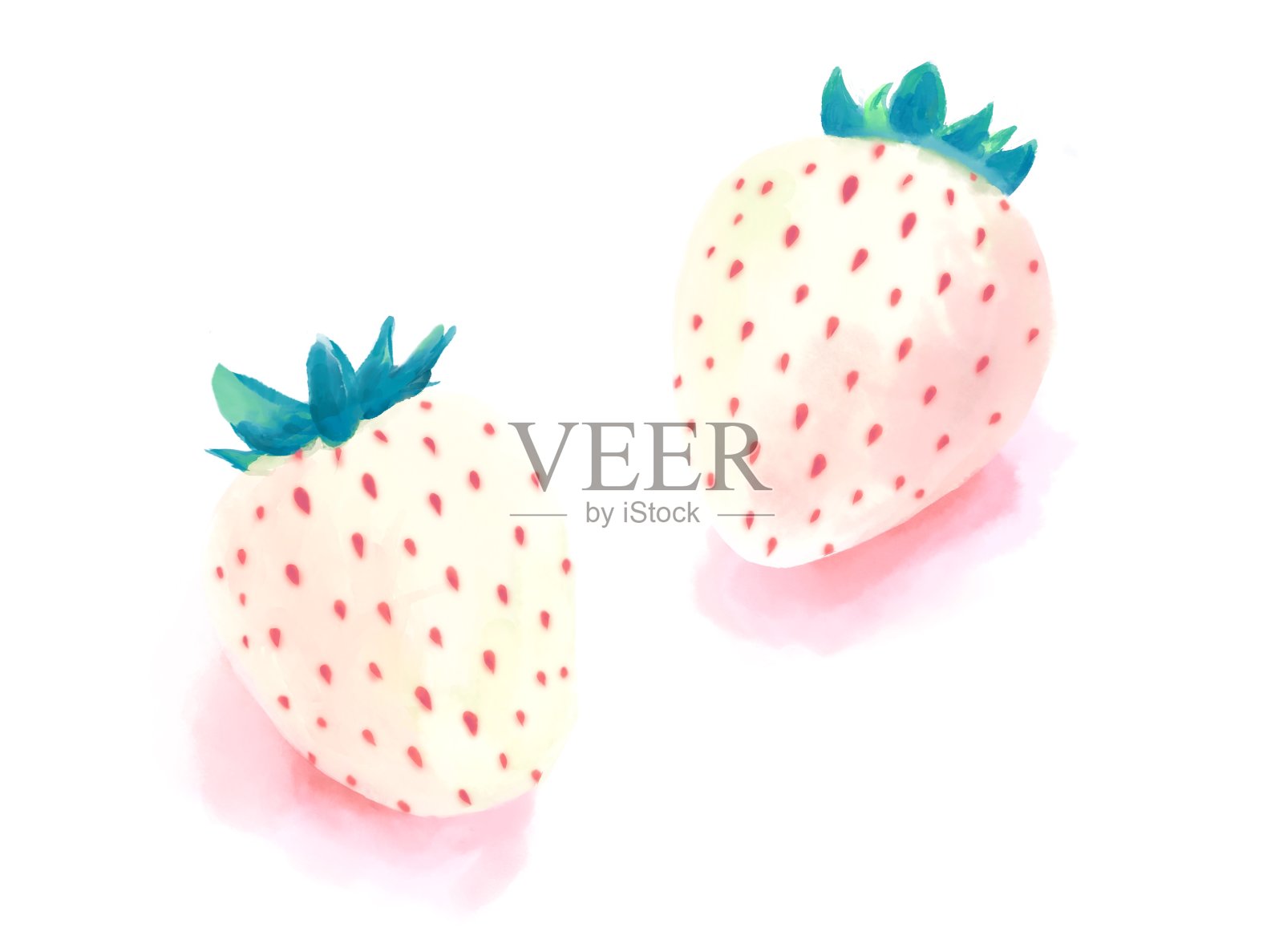 两个白色的草莓插画图片素材