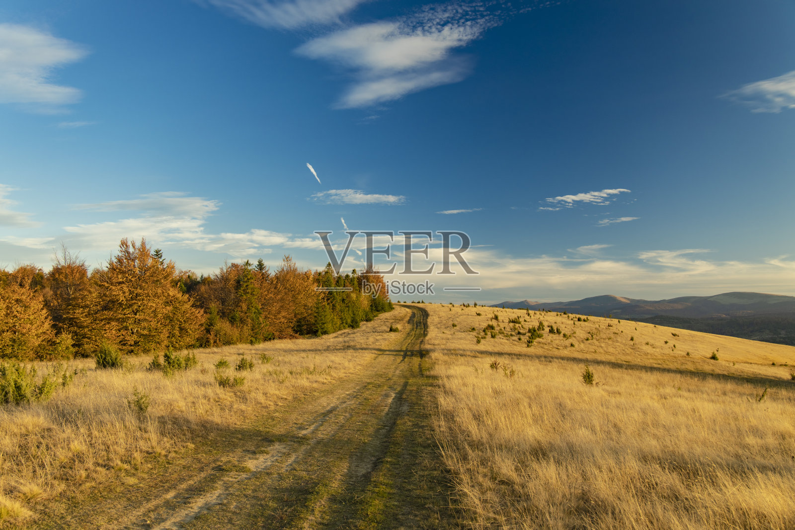 秋天的森林高原，丰富多彩的景观，土路旅游的方式沿着树木棕色和橙色的树叶在晴朗的十月天的时间照片摄影图片