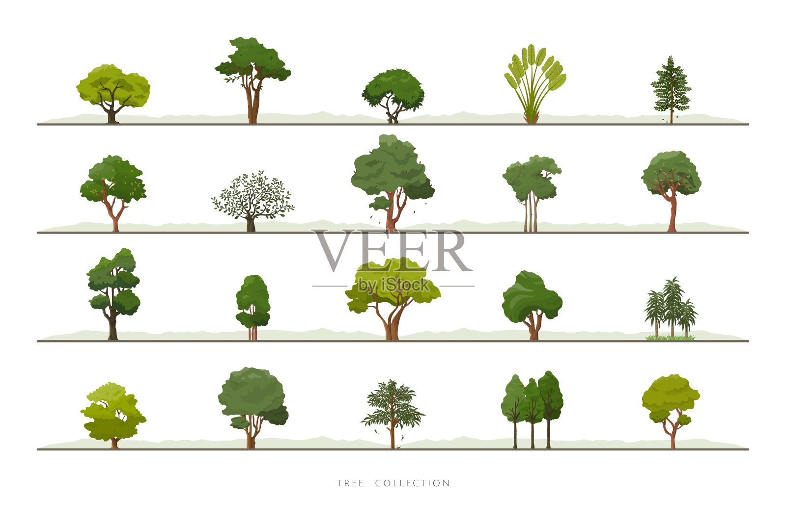 集合的各种绿树矢量图标设置在白色的背景设计元素图片