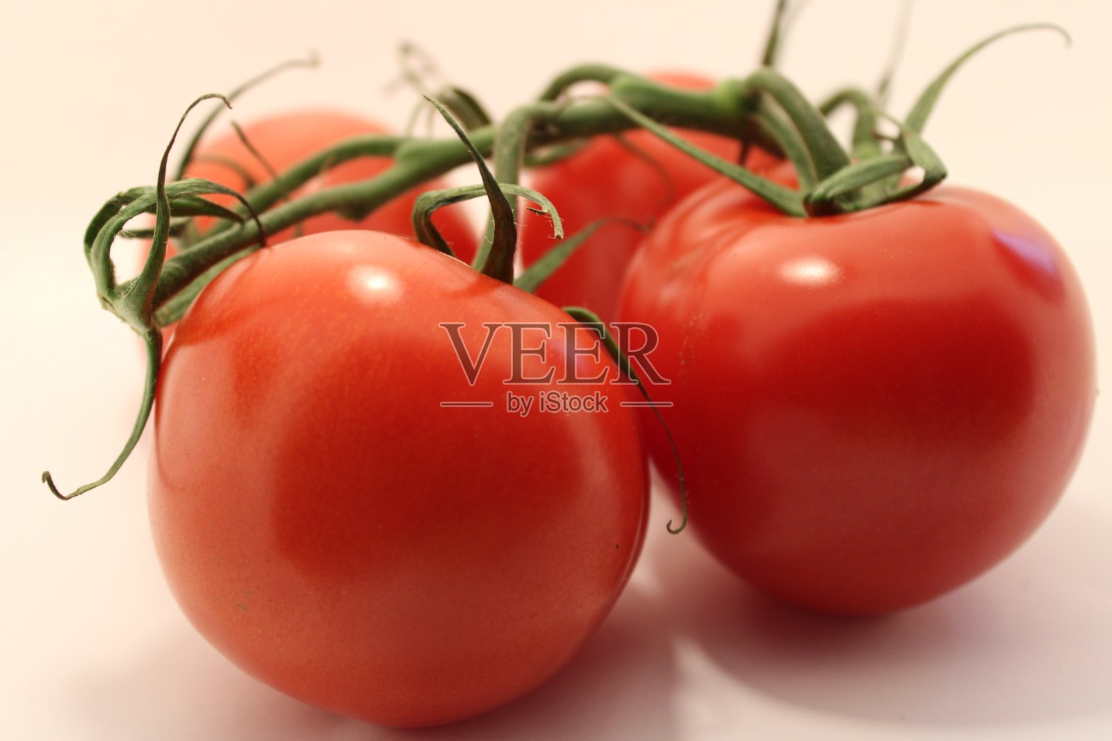 绿枝上的红樱桃西红柿西红柿是厨房蔬菜的重要组成部分照片摄影图片
