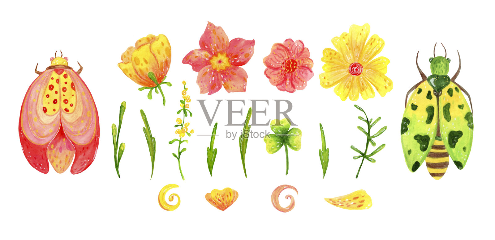 一套抽象的春天花的叶子和甲虫为节日装饰和设计。插画图片素材