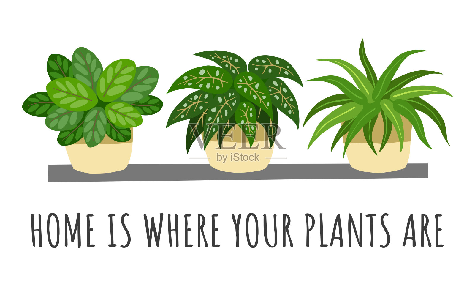家就是你的植物所在的地方。墙架上的室内植物。设计元素图片