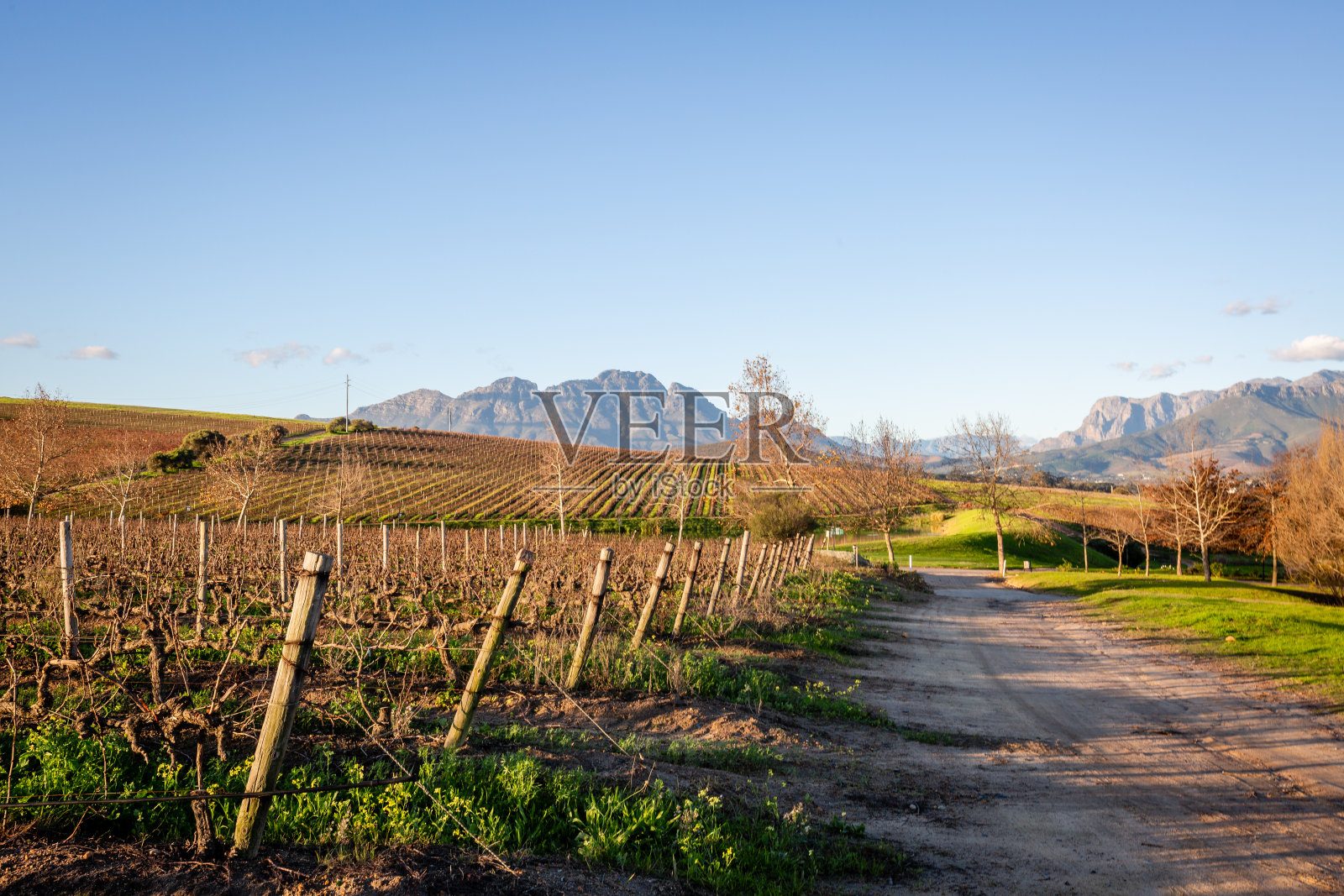 Stellenbosch山脉和葡萄园照片摄影图片