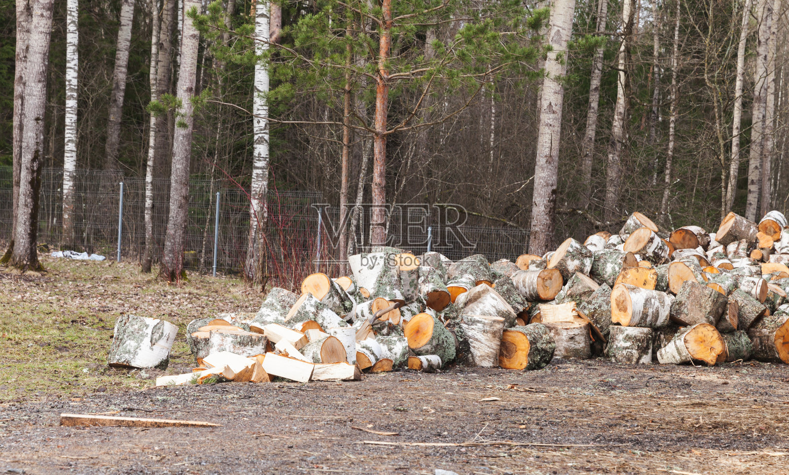 木柴，圆桦树块躺在地上照片摄影图片