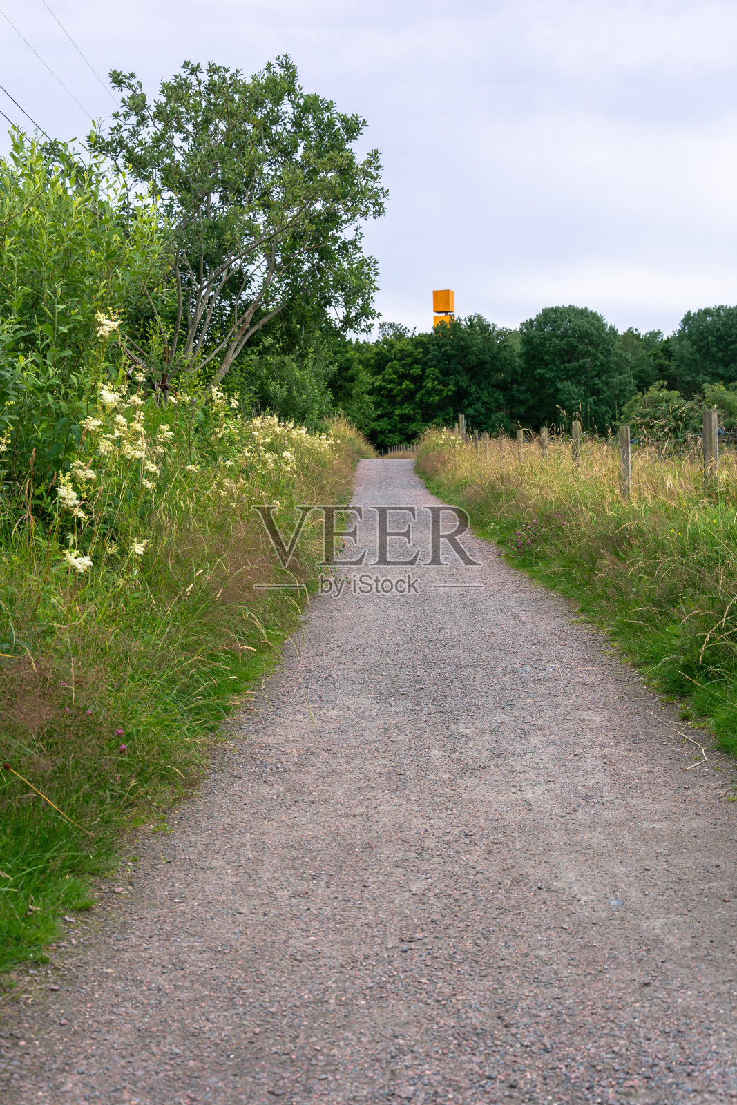 瑞典哥德堡草地和鲜花路径的垂直组成照片摄影图片