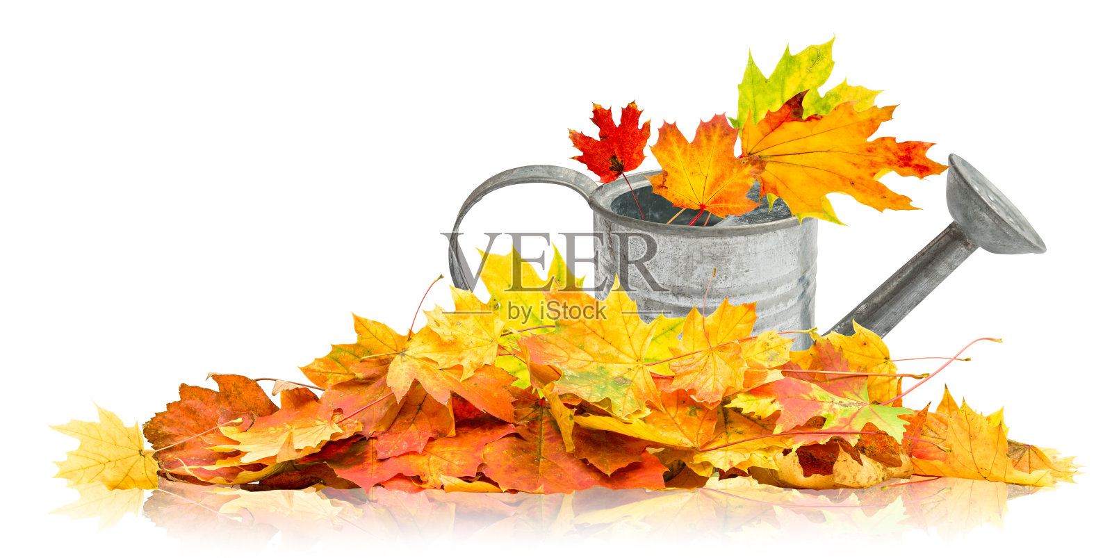 一堆秋叶和浇水可以孤立在白色的背景上照片摄影图片
