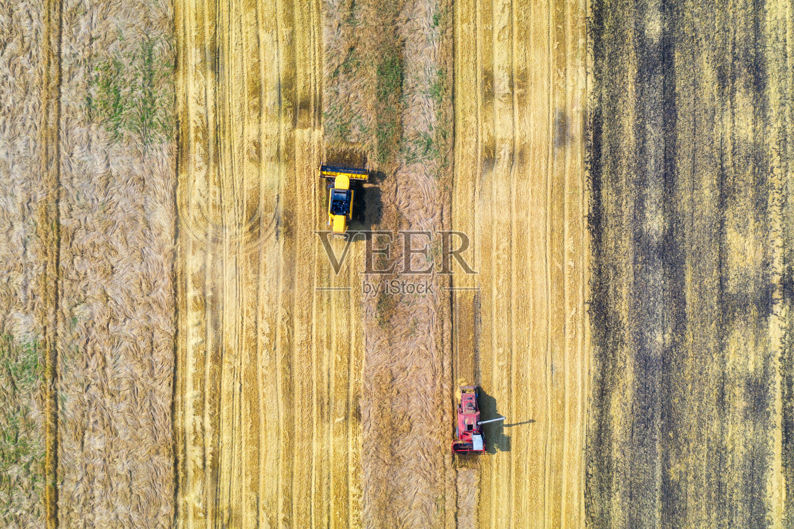 联合收割机在夏季日落收割小麦的鸟瞰图。农业。在黄色的麦田里，有收割者在工作。俯视图农业机械和成熟小麦照片摄影图片