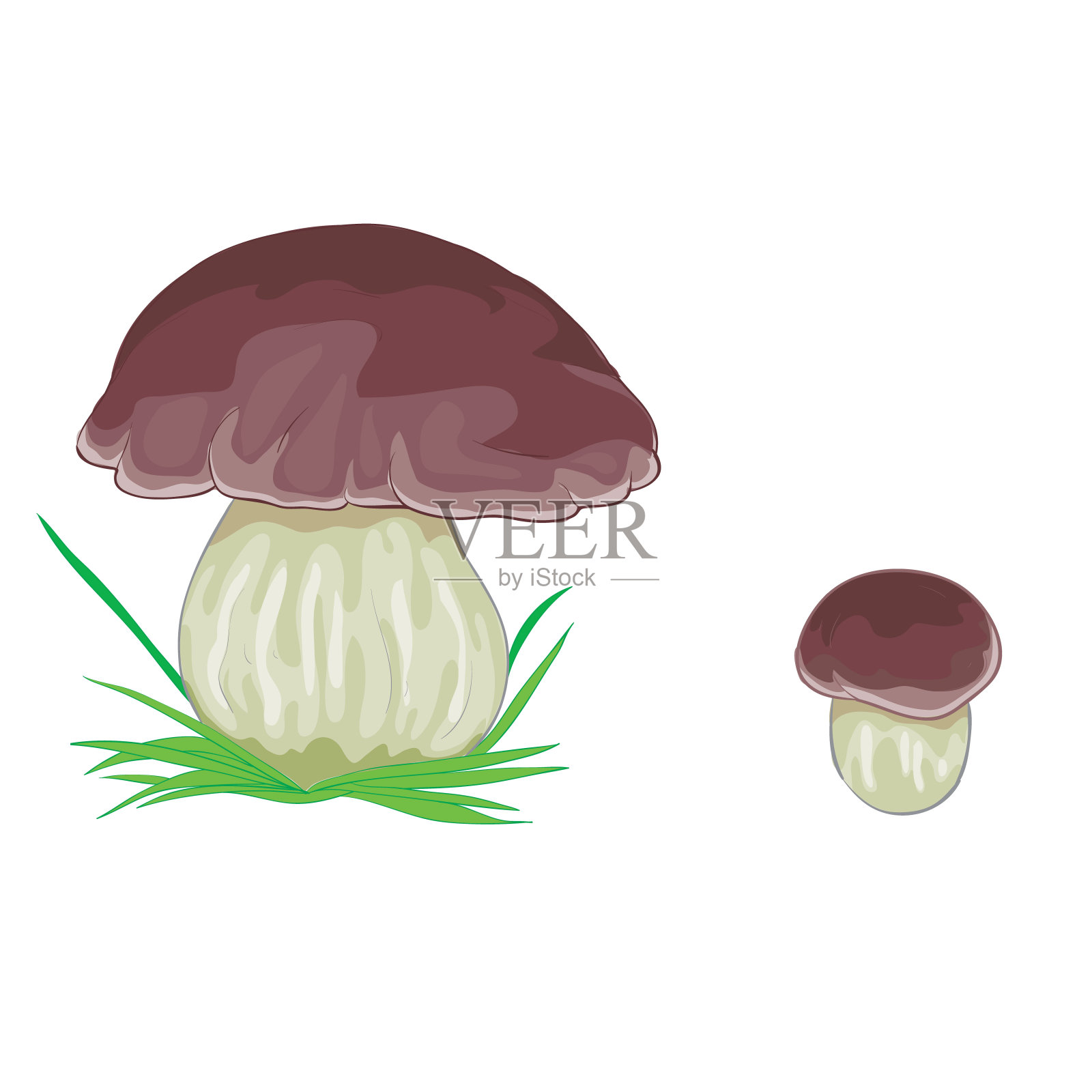 带棕色帽子的白色蘑菇，白色背景上的孤立物体，矢量图，插画图片素材