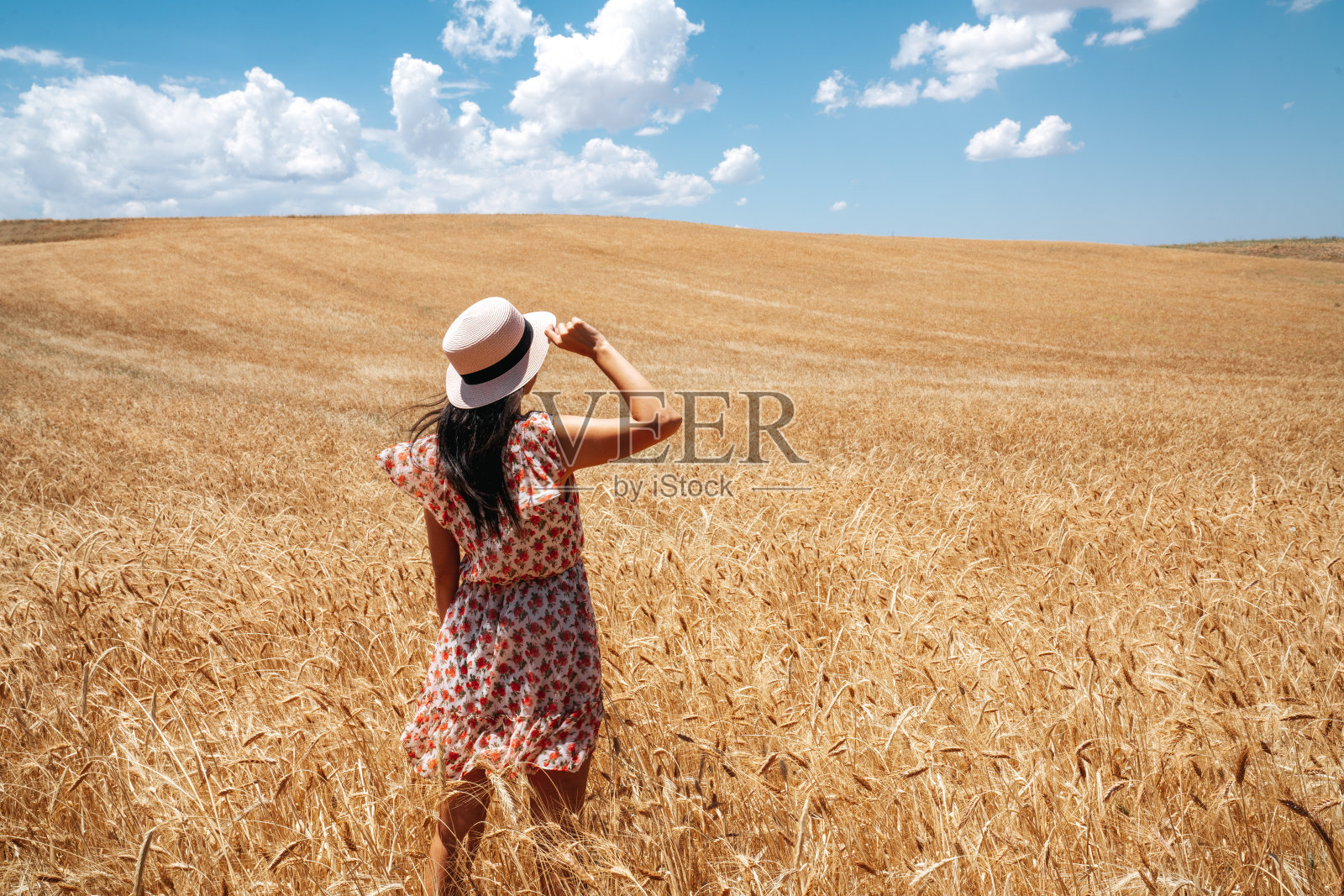 美丽的女人正望着蓝天白云背景的田野。农业和农村概念。照片摄影图片