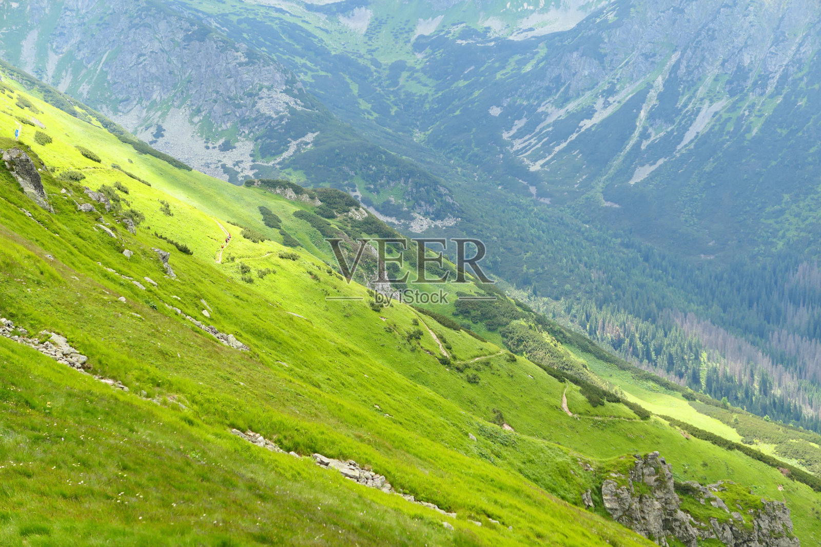 塔特拉山脉的绿色高山照片摄影图片
