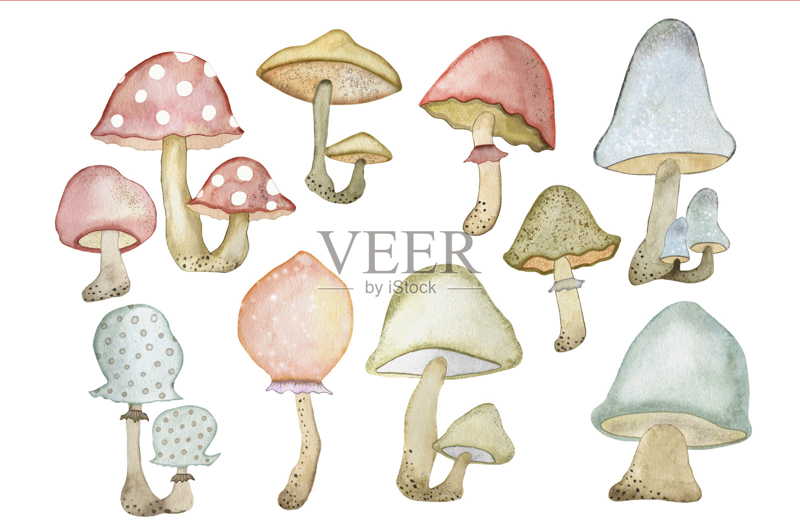 水彩插图的一套大森林彩色蘑菇手绘水彩适合各种设计。插画图片素材