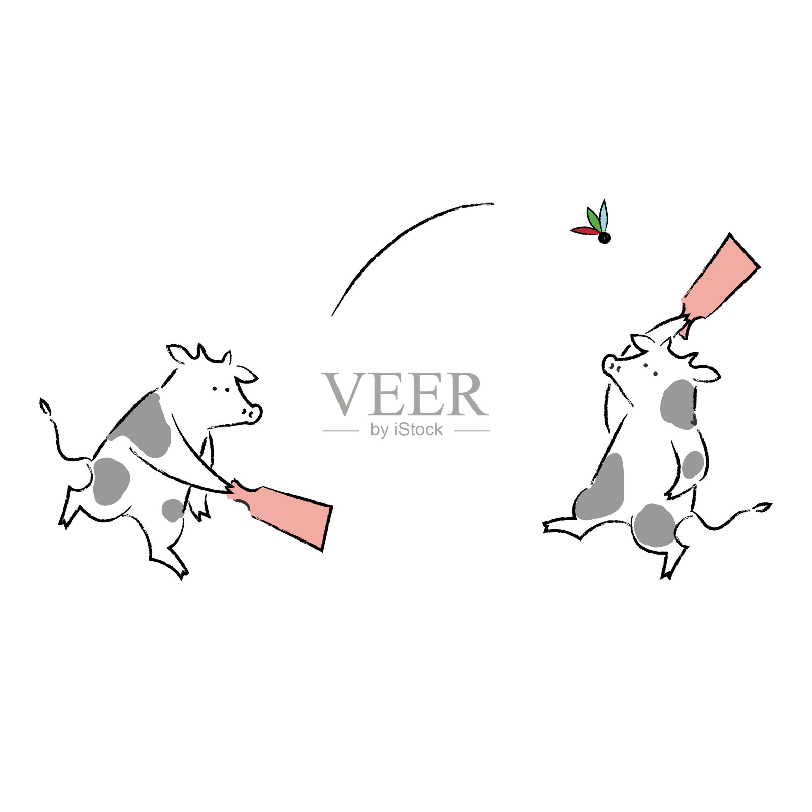 两只奶牛在玩板羽球插画图片素材