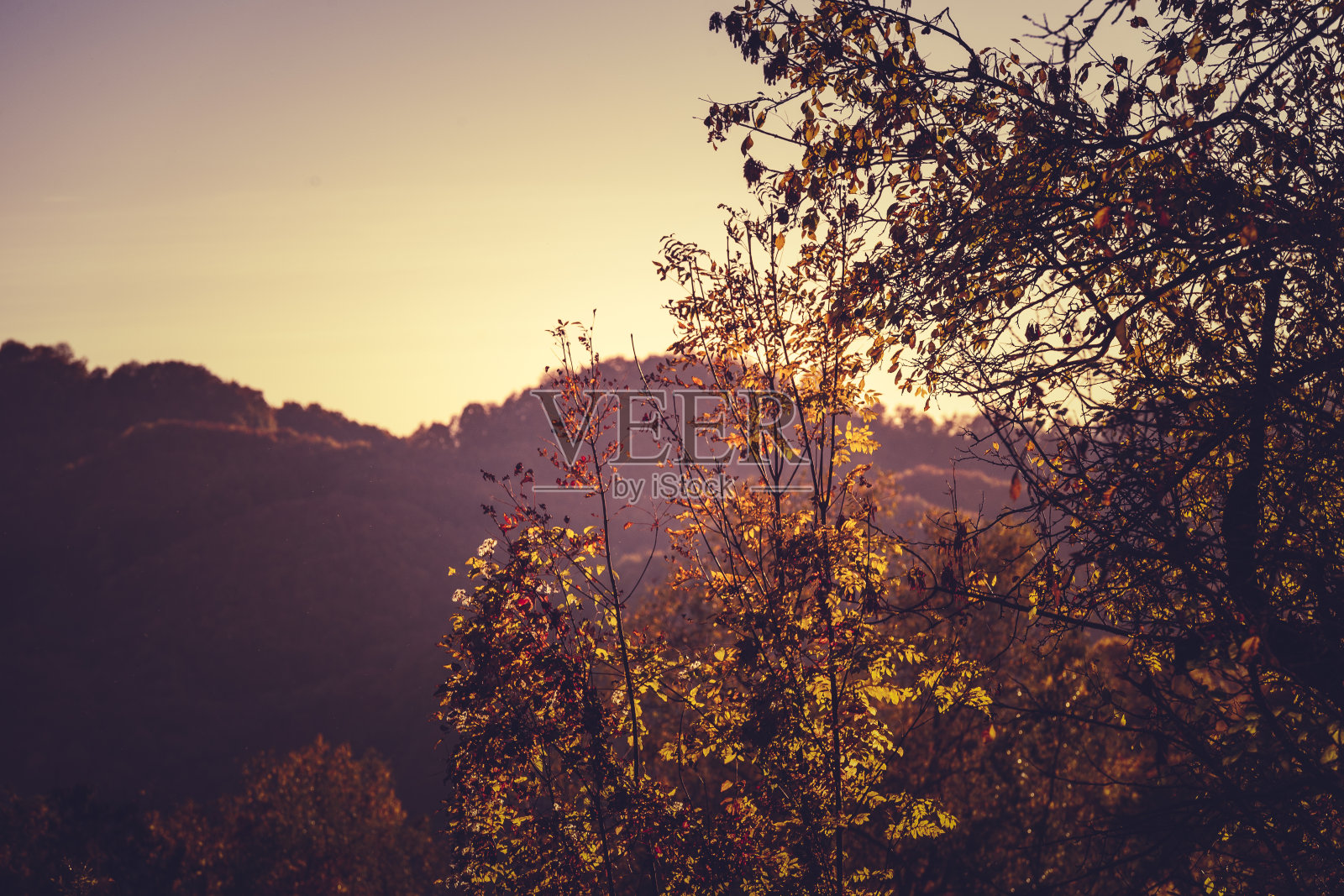 田园诗般的秋天的风景照片摄影图片