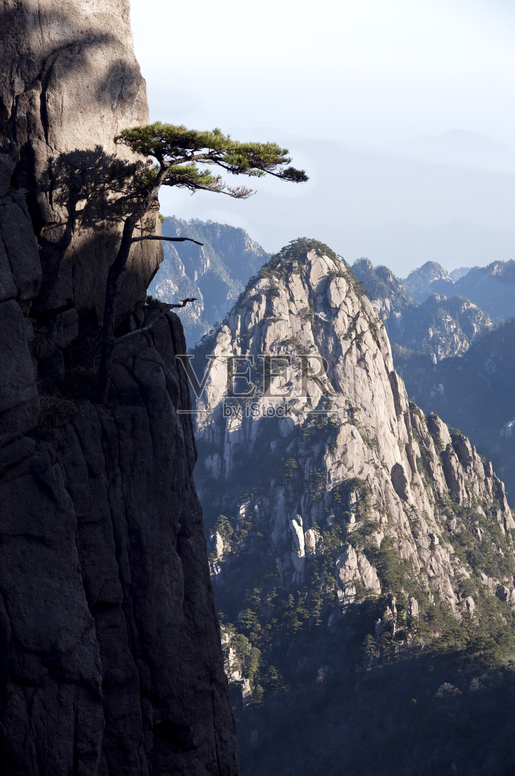中国黄山的松树和山峰照片摄影图片